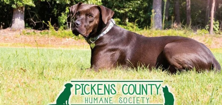 Pickens County Humane Society