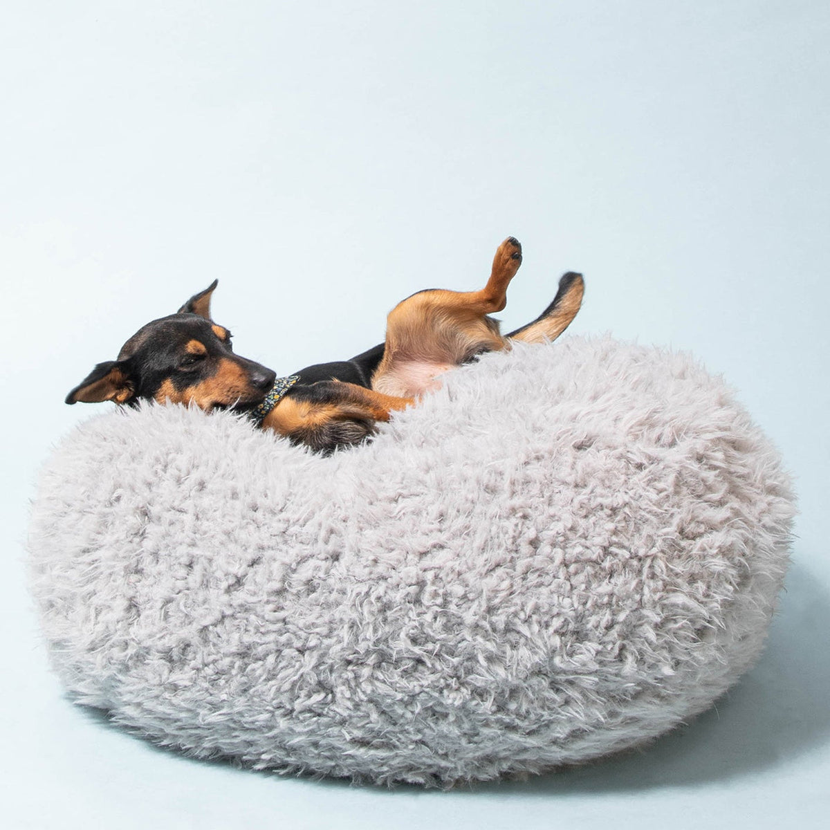 All Pet Beds