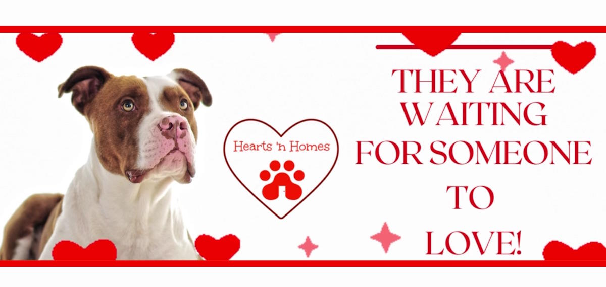 Hearts 'n Homes Rescue