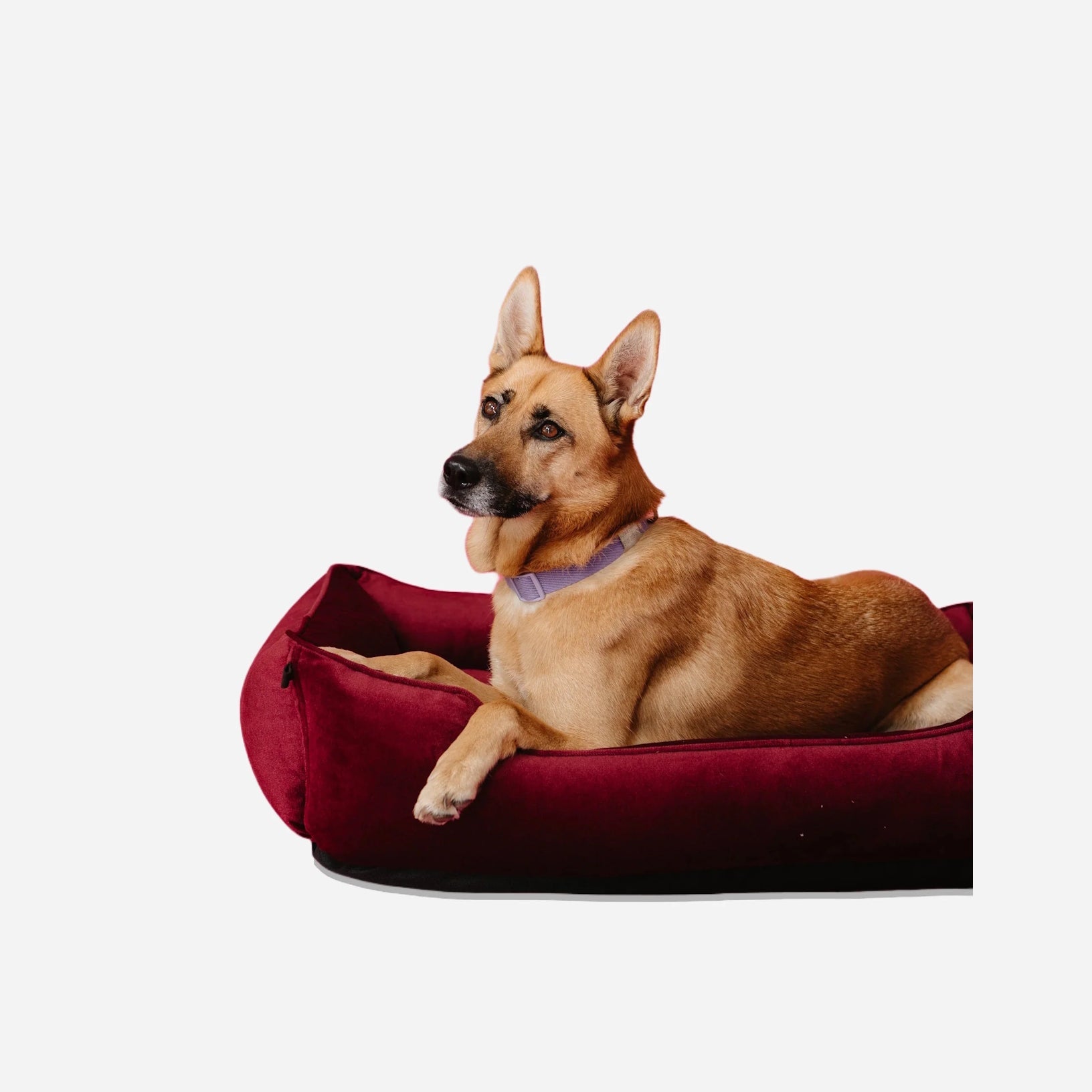 Corduroy, Velvet & Specialty Dog Beds