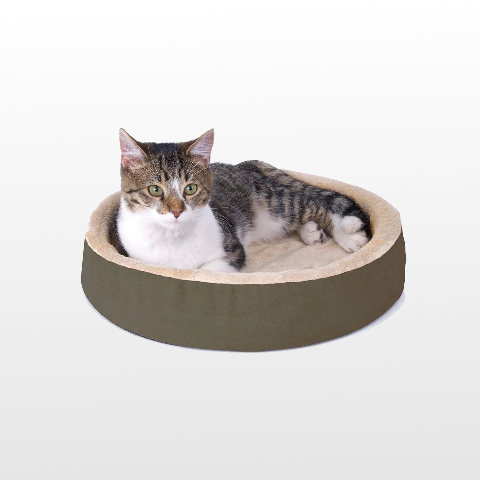 All Cat Beds