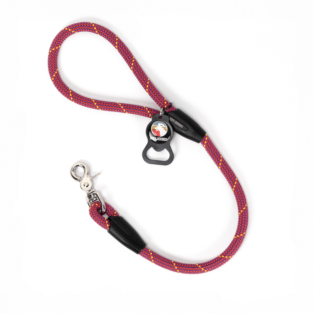 2' Traffic Dog Lead - Pinks/Purples