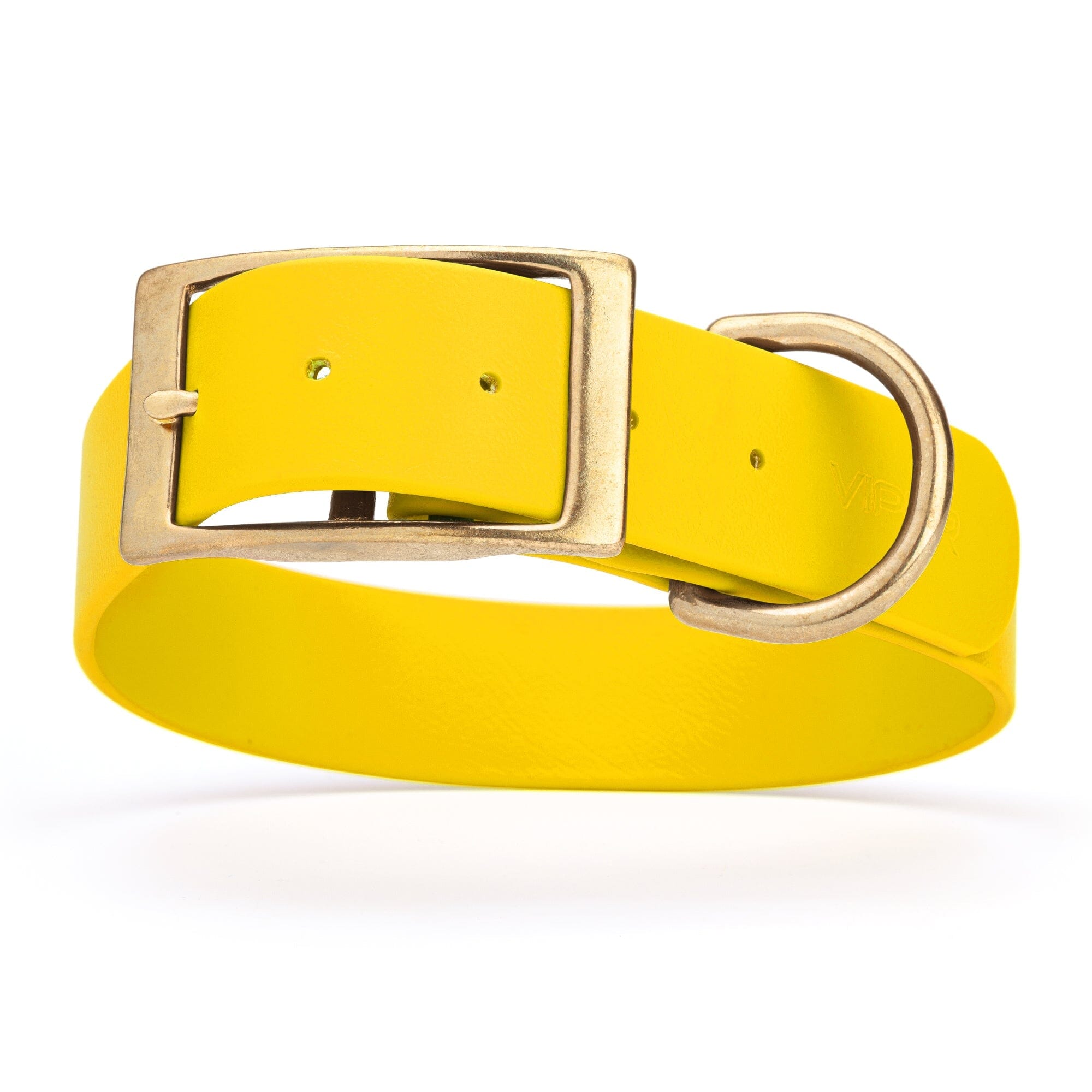 yellow and gold biothane waterproof dog and cat collar with brass metal buckle hardware in size XXL that's 1.5 inches wide, 24-28" long and looks like vegan faux leather.