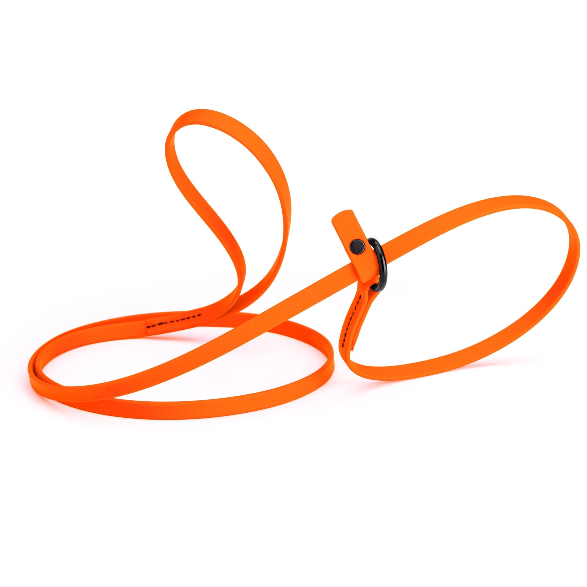 Biothane Slip Lead: 5ft, 7ft; 3/8", 5/8", 1/2" widths