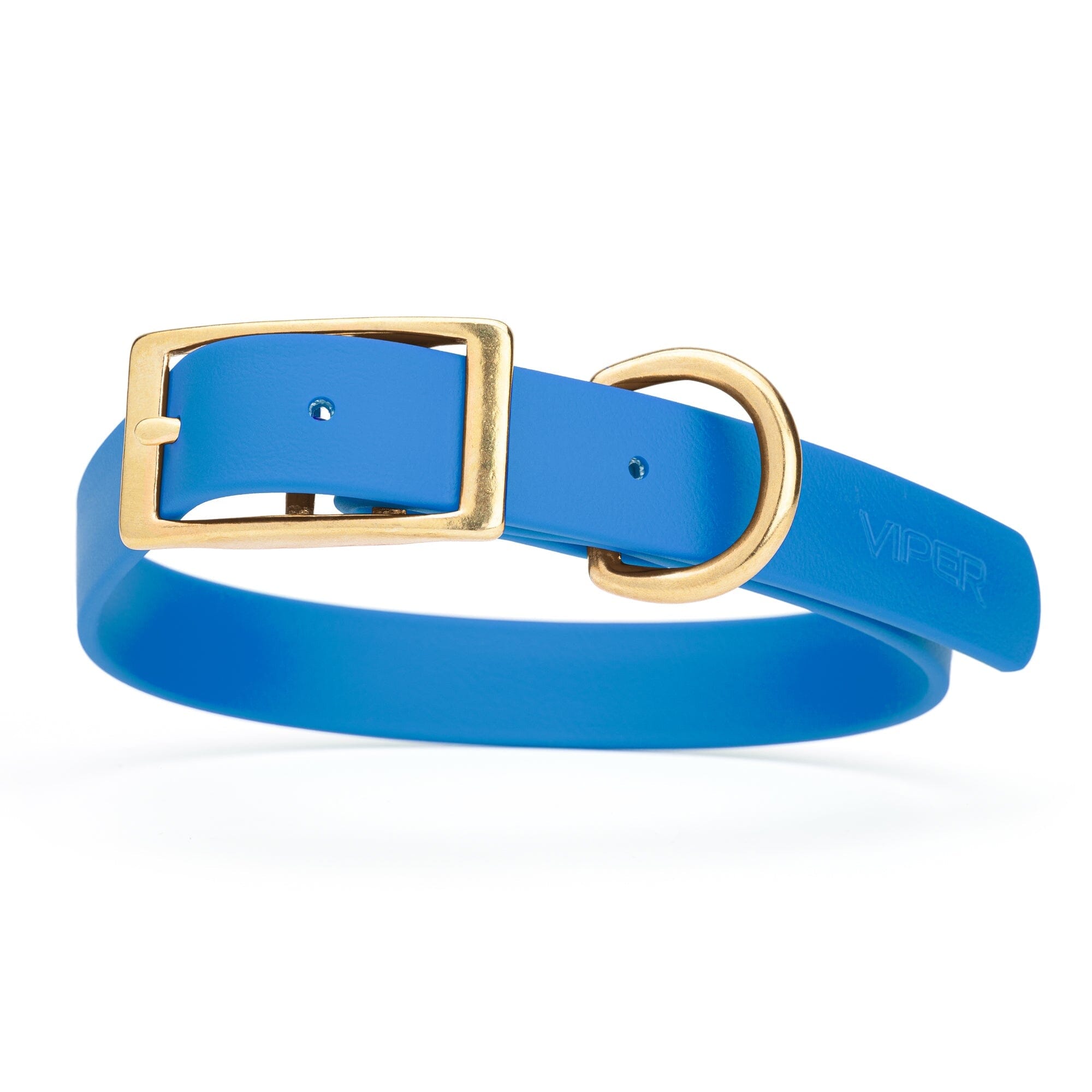 bright blue and gold biothane waterproof dog and cat collar with brass metal buckle hardware in size large that's 1 inch wide and looks like vegan faux leather.