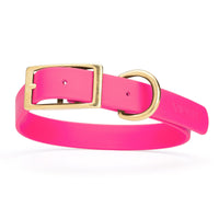 bubblegum/hot pink and gold biothane waterproof dog and cat collar with brass metal buckle hardware in size extra large that's 1 inch wide, 22-25" long and looks like vegan faux leather.