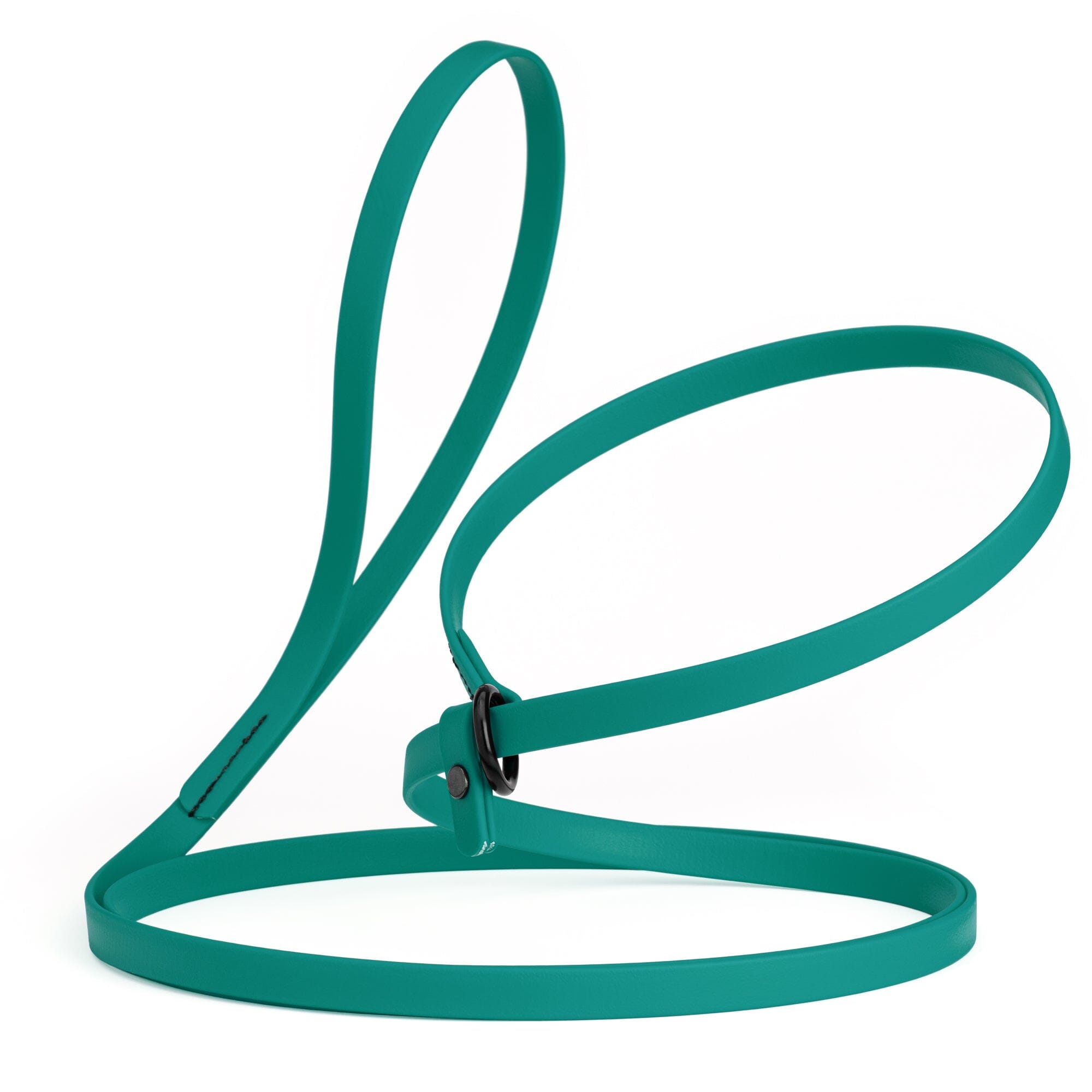 Biothane Slip Lead: 5ft, 7ft; 3/8", 5/8", 1/2" widths