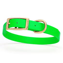bright neon green and gold biothane waterproof dog and cat collar with brass metal buckle hardware in size medium that's 3/4 inch wide and looks like vegan faux leather.