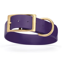 dark purple and gold biothane waterproof dog and cat collar with brass metal buckle hardware in size XXL that's 1.5 inches wide, 24-28" long and looks like vegan faux leather.