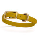 mustard yellow/chartreuse and gold biothane waterproof dog and cat collar with brass metal buckle hardware in size extra small that's a 1/2 inch wide and looks like vegan faux leather.