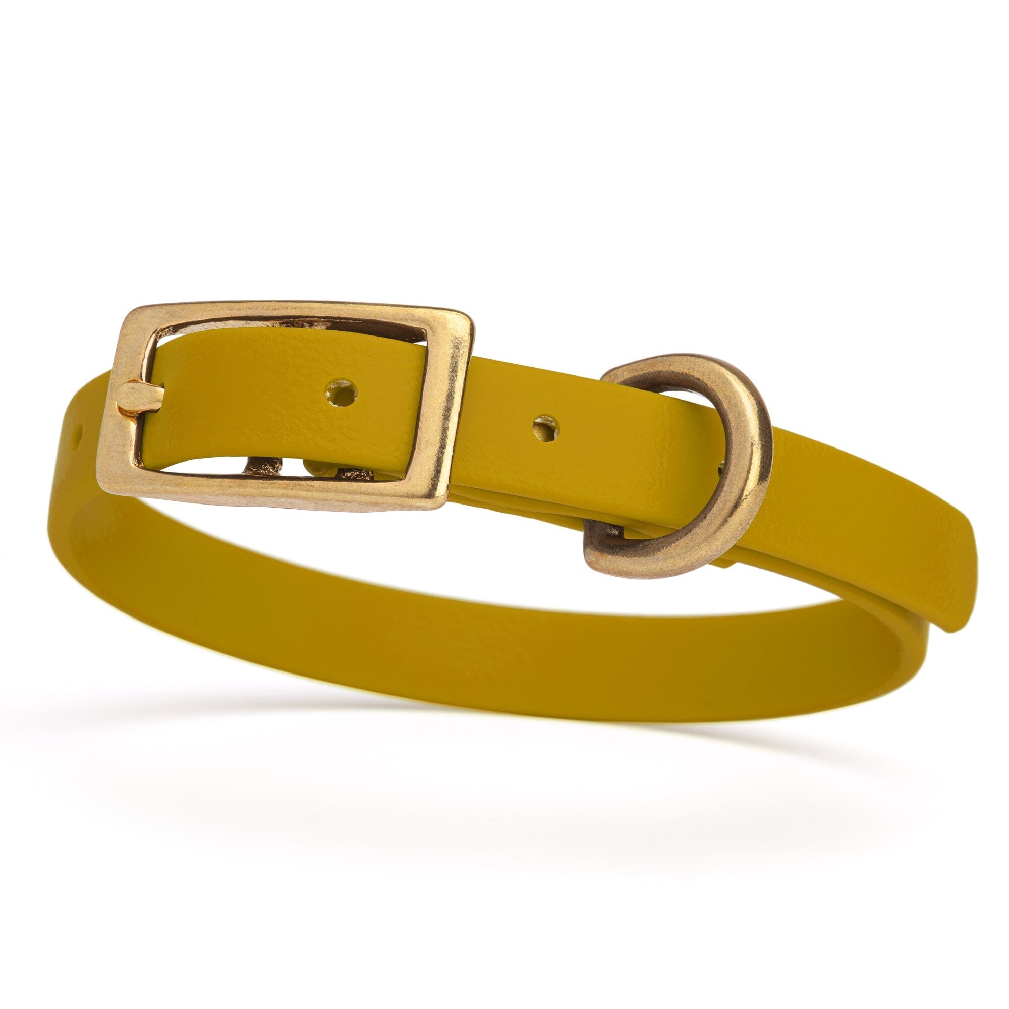 mustard yellow/chartreuse and gold biothane waterproof dog and cat collar with brass metal buckle hardware in size extra small that's a 1/2 inch wide and looks like vegan faux leather.