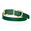 dark green and gold biothane waterproof dog and cat collar with brass metal buckle hardware in size large that's 1 inch wide and looks like vegan faux leather.
