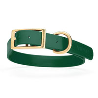 dark green and gold biothane waterproof dog and cat collar with brass metal buckle hardware in size large that's 1 inch wide and looks like vegan faux leather.