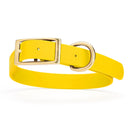 yellow and gold biothane waterproof dog and cat collar with brass metal buckle hardware in size extra large that's 1 inch wide, 22-25" long and looks like vegan faux leather.
