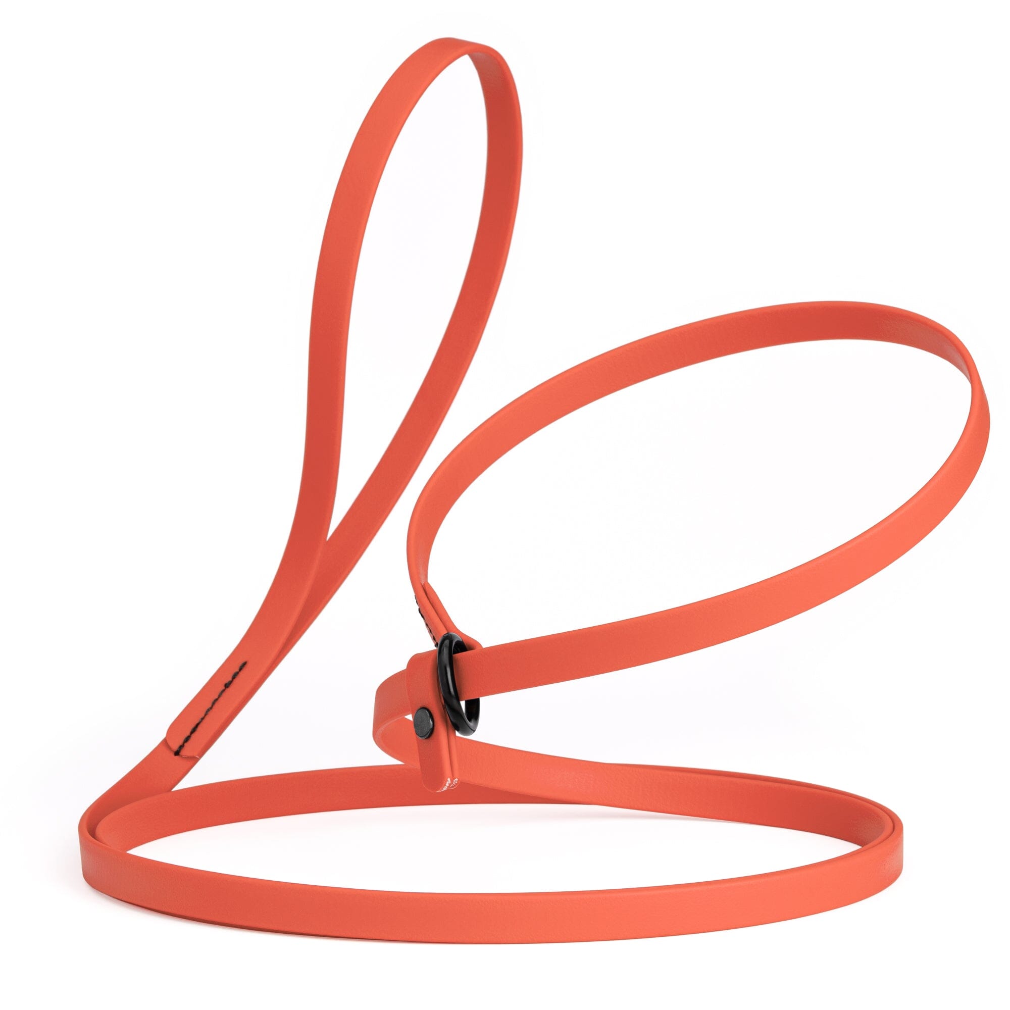 Biothane Slip Lead: 5ft, 7ft; 3/8", 5/8", 1/2" widths