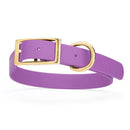 lilac purple biothane waterproof dog and cat collar with brass metal buckle hardware in size extra large that's 1 inch wide, 22-25" long and looks like vegan faux leather.