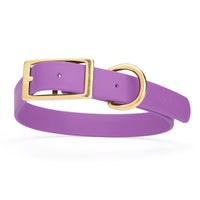 lilac purple biothane waterproof dog and cat collar with brass metal buckle hardware in size extra large that's 1 inch wide, 22-25" long and looks like vegan faux leather.