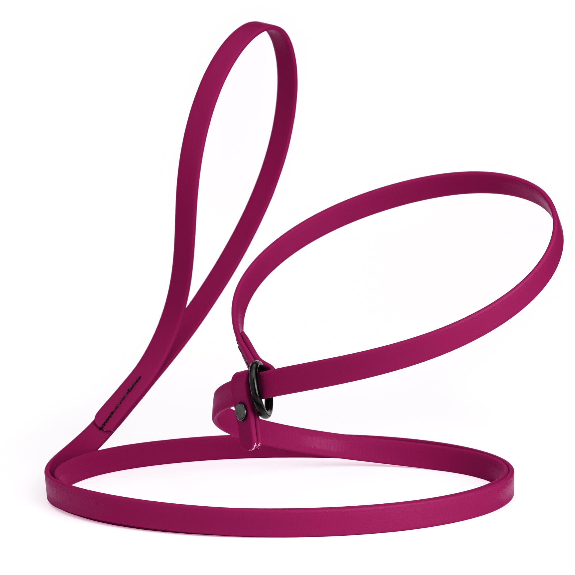 Biothane Slip Lead: 5ft, 7ft; 3/8", 5/8", 1/2" widths