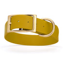 mustard yellow/dark gold and gold biothane waterproof dog and cat collar with brass metal buckle hardware in size XXL that's 1.5 inches wide, 24-28" long and looks like vegan faux leather.