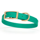 medium green and gold biothane waterproof dog and cat collar with brass metal buckle hardware in size medium that's 3/4 inch wide and looks like vegan faux leather.