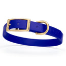 royal blue and gold biothane waterproof dog and cat collar with brass metal buckle hardware in size medium that's 3/4 inch wide and looks like vegan faux leather.
