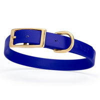 royal blue and gold biothane waterproof dog and cat collar with brass metal buckle hardware in size medium that's 3/4 inch wide and looks like vegan faux leather.