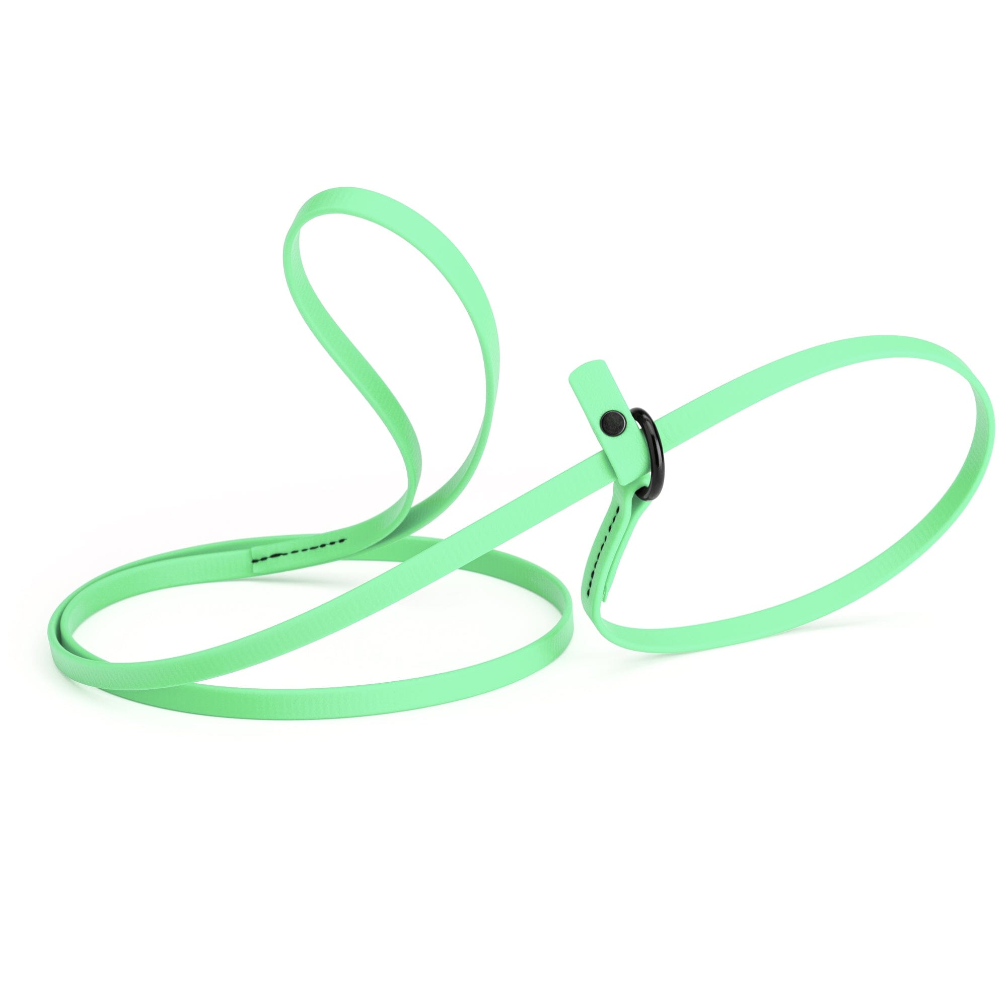 Biothane Slip Lead: 5ft, 7ft; 3/8", 5/8", 1/2" widths