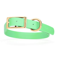 mint green and gold biothane waterproof dog and cat collar with brass metal buckle hardware in size large that's 1 inch wide and looks like vegan faux leather.