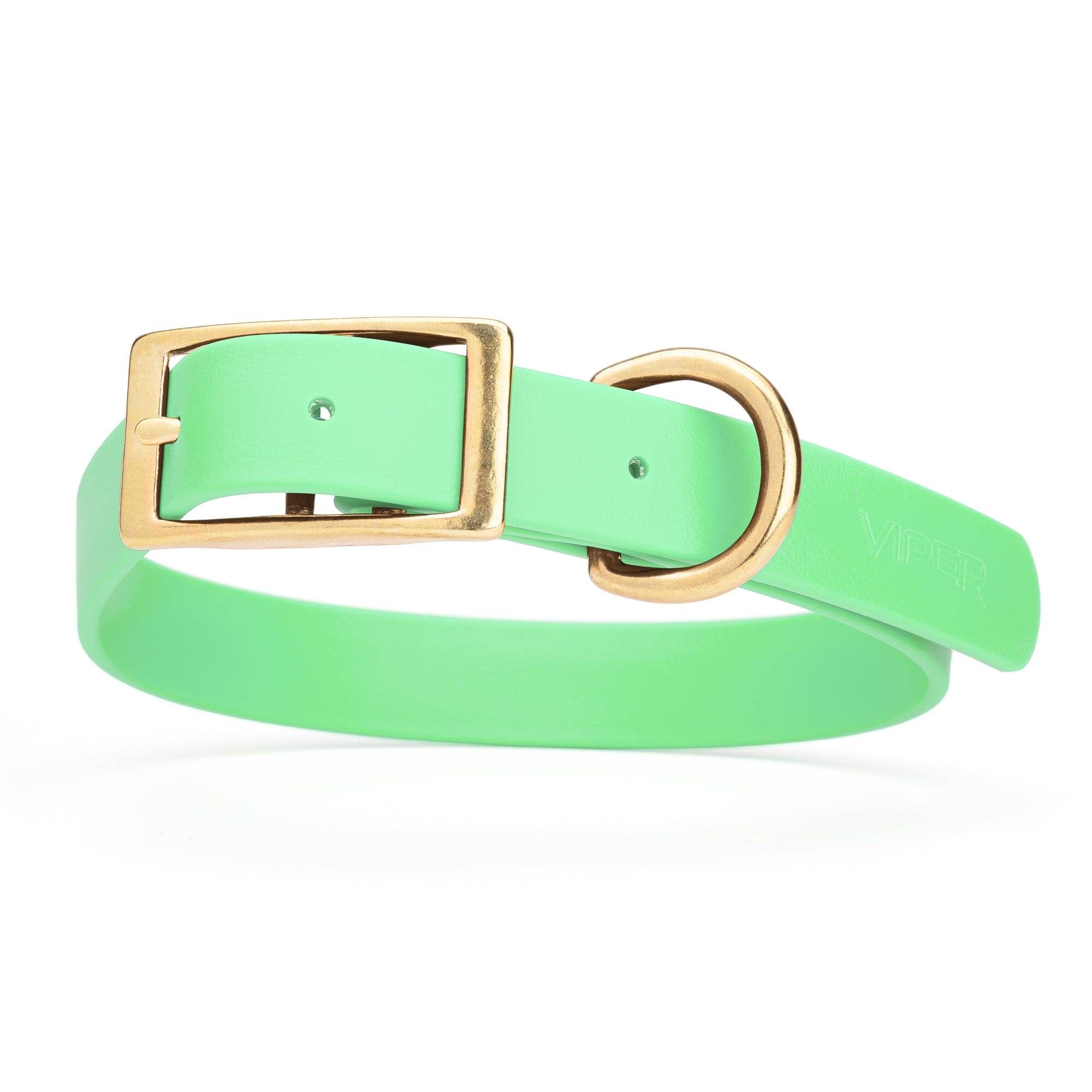 mint green and gold biothane waterproof dog and cat collar with brass metal buckle hardware in size large that's 1 inch wide and looks like vegan faux leather.