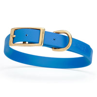 neon blue and gold biothane waterproof dog and cat collar with brass metal buckle hardware in size medium that's 3/4 inch wide and looks like vegan faux leather.