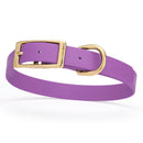 lilac purple and gold biothane waterproof dog and cat collar with brass metal buckle hardware in size medium that's 3/4 inch wide and looks like vegan faux leather.
