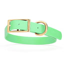 mint green and gold biothane waterproof dog and cat collar with brass metal buckle hardware in size extra large that's 1 inch wide, 22-25" long and looks like vegan faux leather.