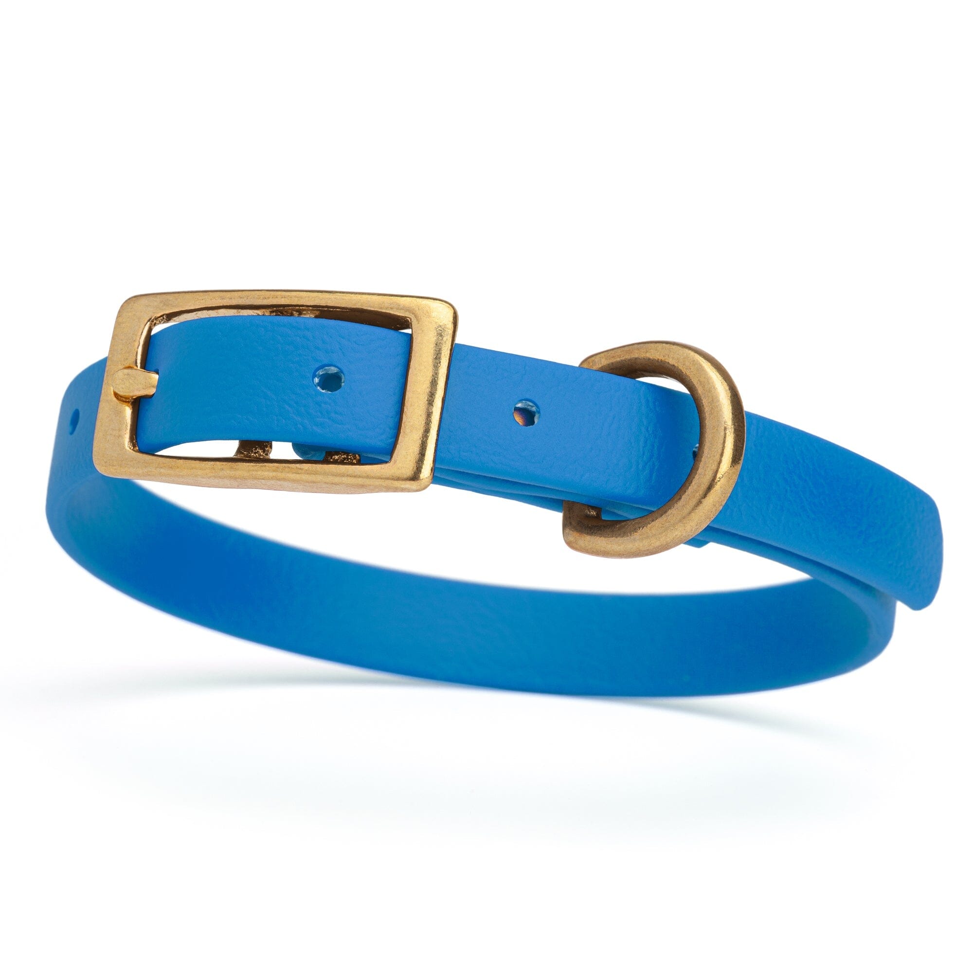 a bright blue and gold biothane waterproof dog and cat collar with brass metal buckle hardware in size extra small that's 1/2 inch wide.