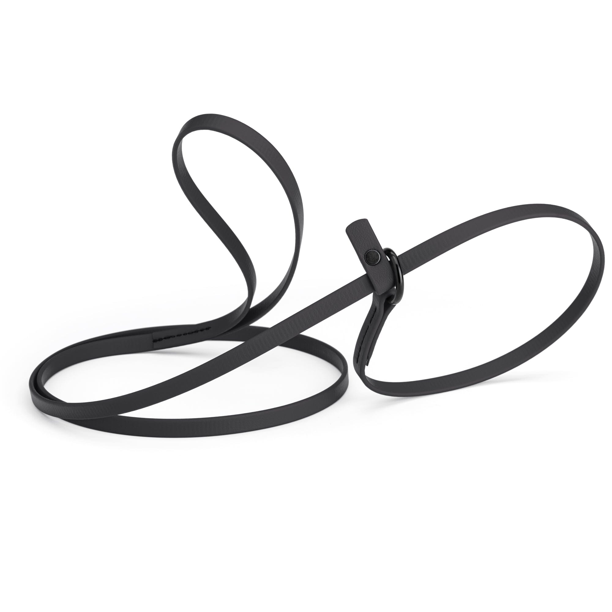 Biothane Slip Lead: 5ft, 7ft; 3/8", 5/8", 1/2" widths