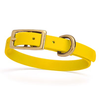 golden yellow and gold biothane waterproof dog and cat collar with brass metal buckle hardware in size extra small that's a 1/2 inch wide and looks like vegan faux leather.