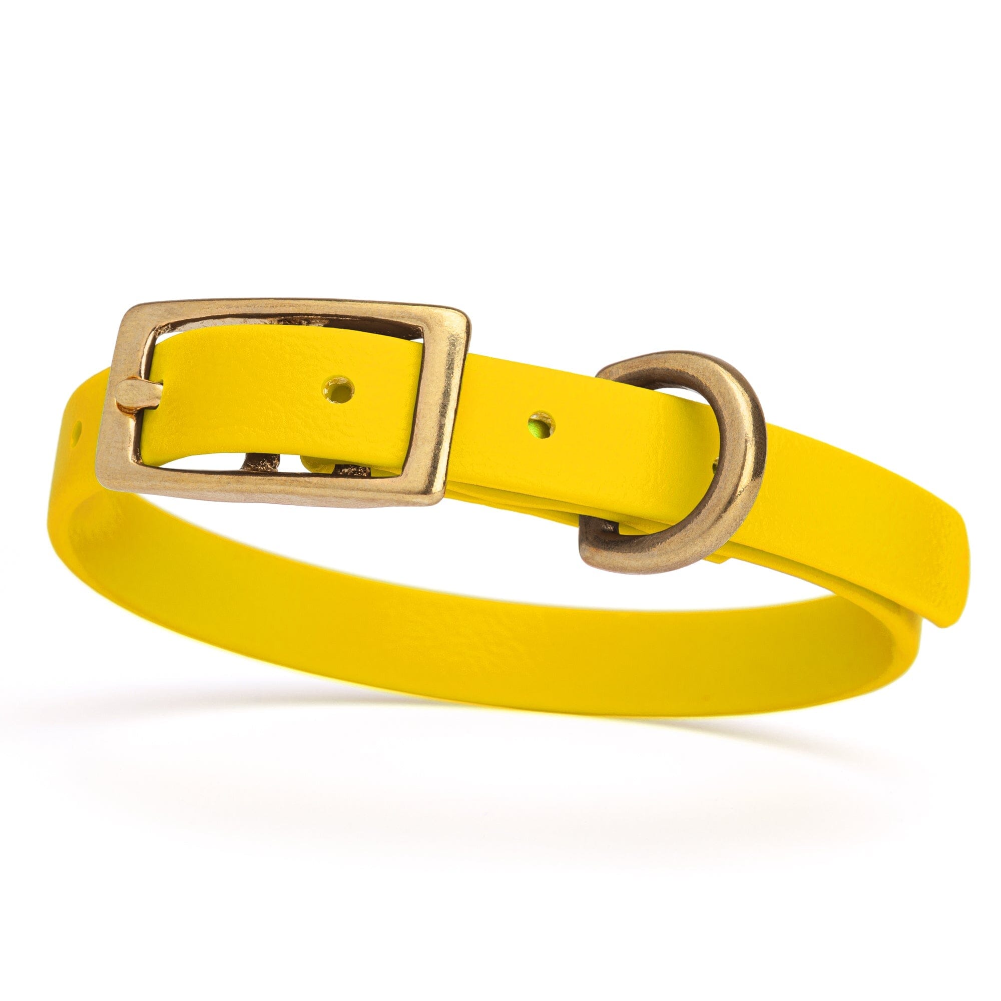 golden yellow and gold biothane waterproof dog and cat collar with brass metal buckle hardware in size extra small that's a 1/2 inch wide and looks like vegan faux leather.