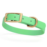 light green and gold biothane waterproof dog and cat collar with brass metal buckle hardware in size small that's 5/8 inch wide and looks like vegan faux leather.