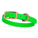 bright neon green and gold biothane waterproof dog and cat collar with brass metal buckle hardware in size extra small that's 1/2 inch wide.