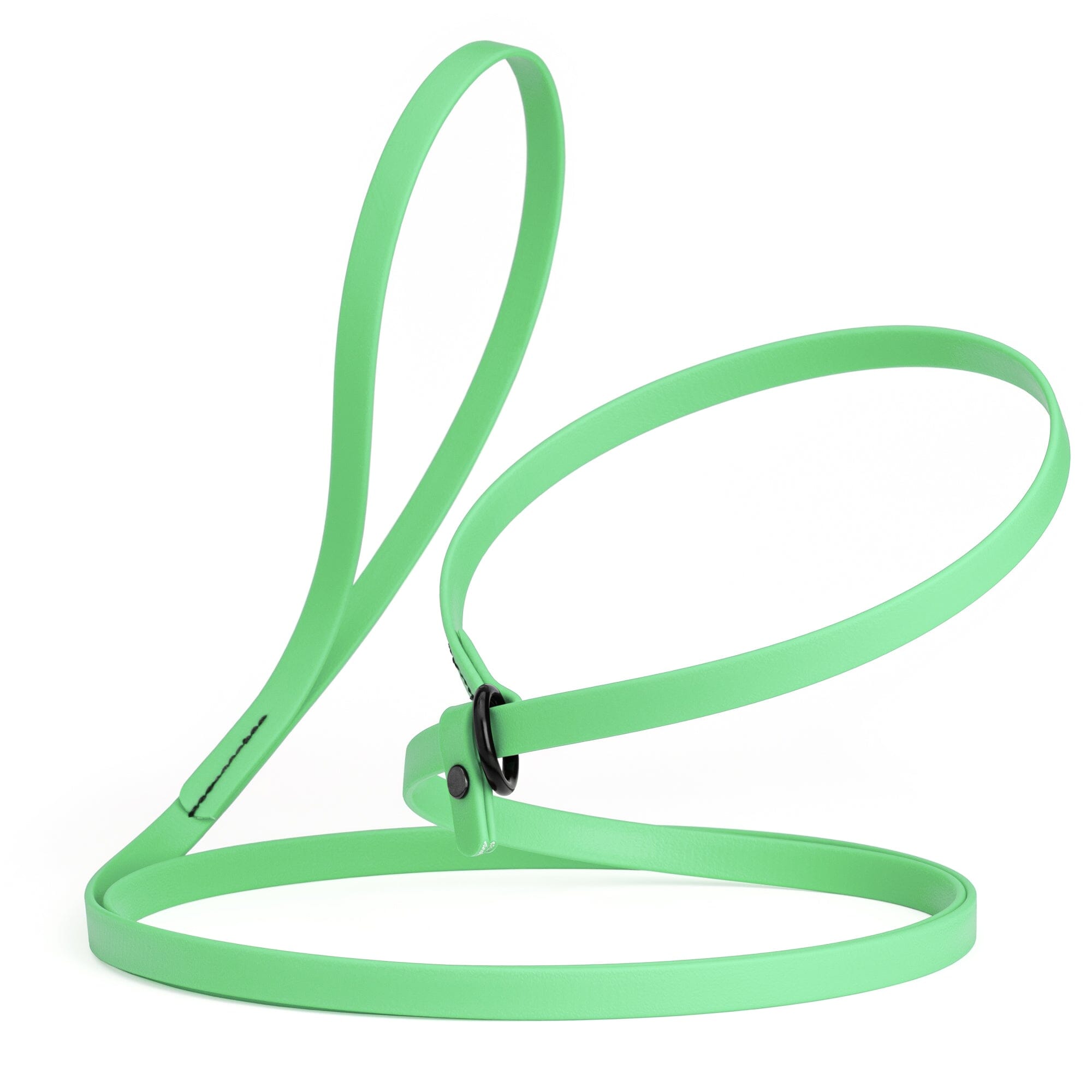 Biothane Slip Lead: 5ft, 7ft; 3/8", 5/8", 1/2" widths