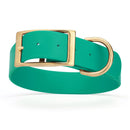 teal green and gold biothane waterproof dog and cat collar with brass metal buckle hardware in size XXL that's 1.5 inches wide, 24-28" long and looks like vegan faux leather.