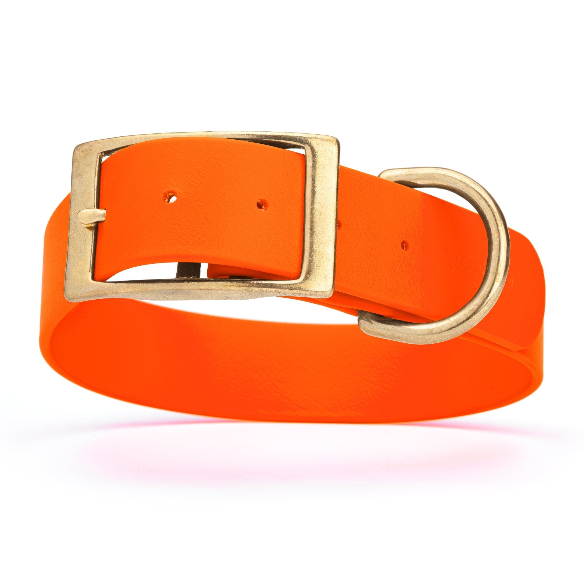 neon hunter orange and gold biothane waterproof dog and cat collar with brass metal buckle hardware in size XXL that's 1.5 inches wide, 24-28" long and looks like vegan faux leather.