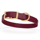 maroon burgundy and gold biothane waterproof dog and cat collar with brass metal buckle hardware in size medium that's 3/4 inch wide and looks like vegan faux leather.