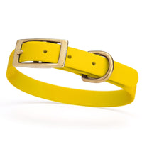 yellow and gold biothane waterproof dog and cat collar with brass metal buckle hardware in size small that's 5/8 inch wide and looks like vegan faux leather.