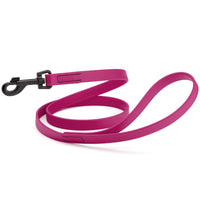 Biothane Waterproof Dog Leash, 4 ft