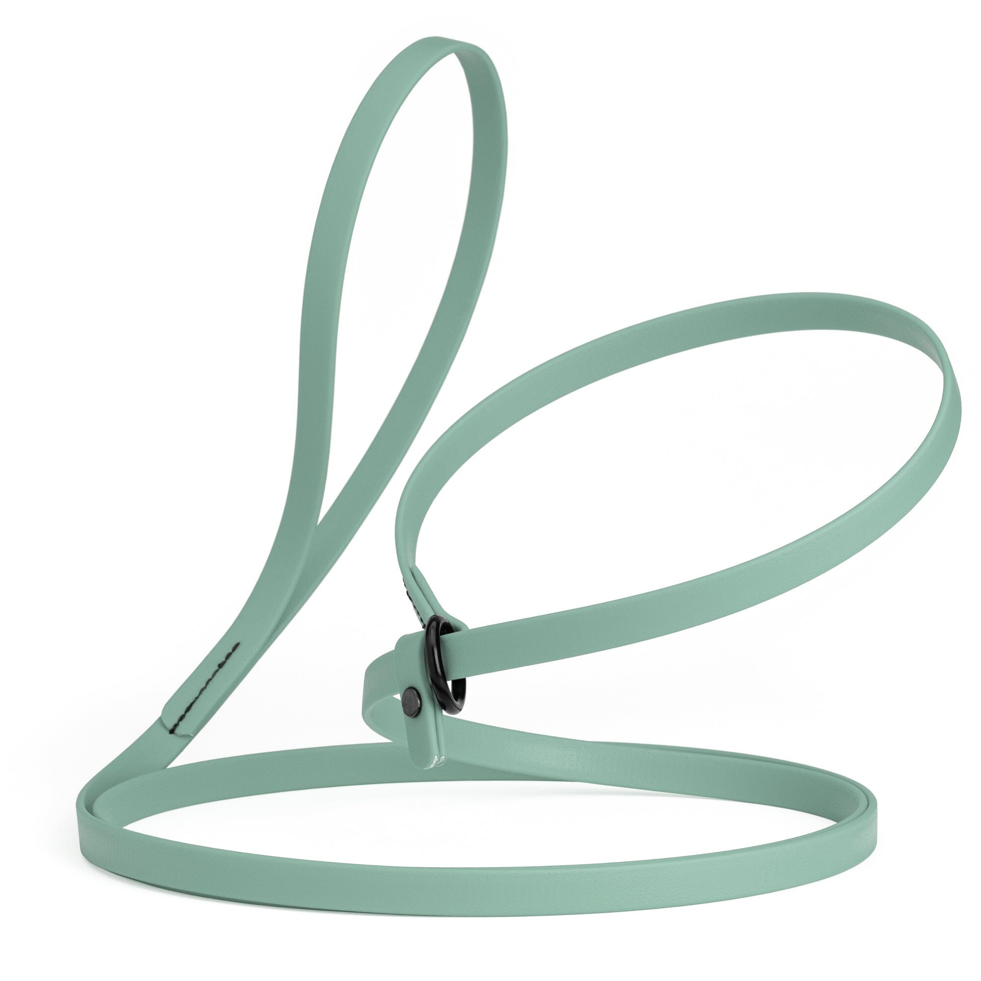 Biothane Slip Lead: 5ft, 7ft; 3/8", 5/8", 1/2" widths