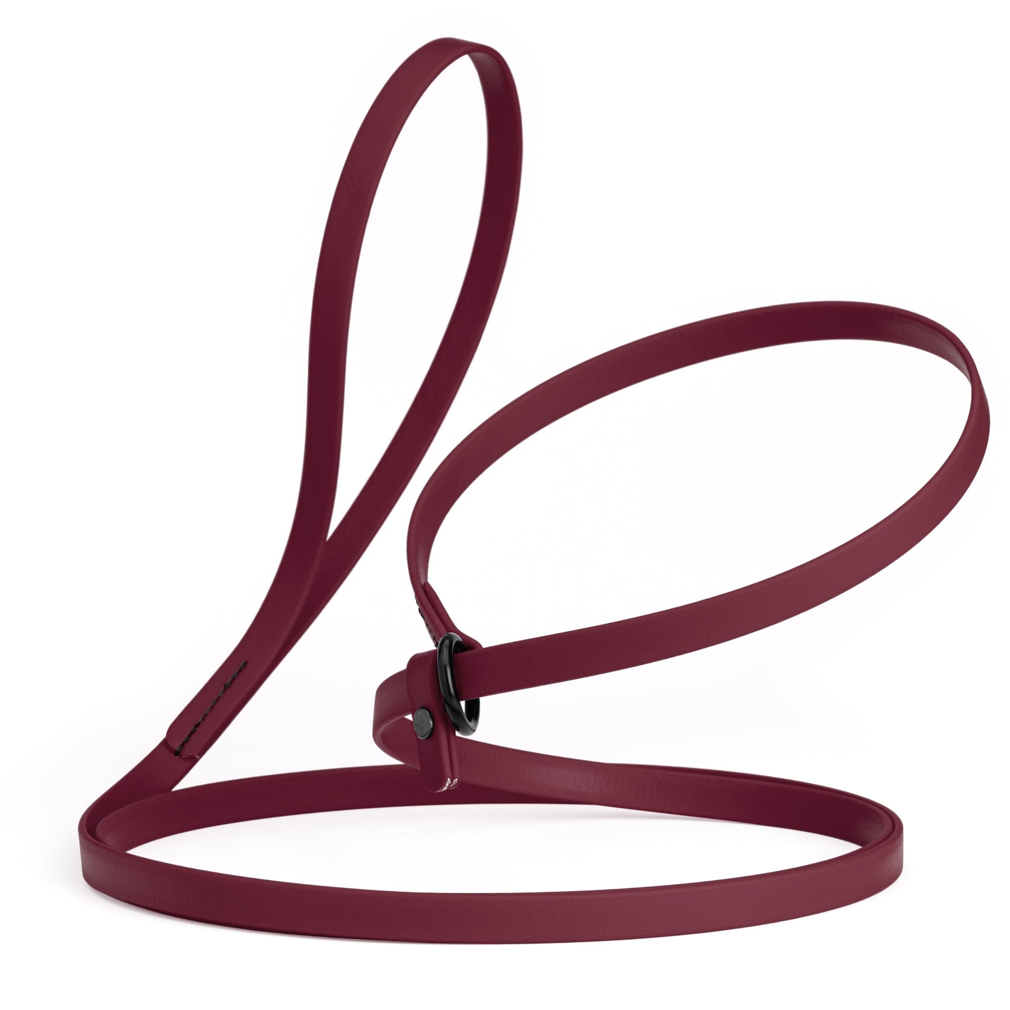 Biothane Slip Lead: 5ft, 7ft; 3/8", 5/8", 1/2" widths