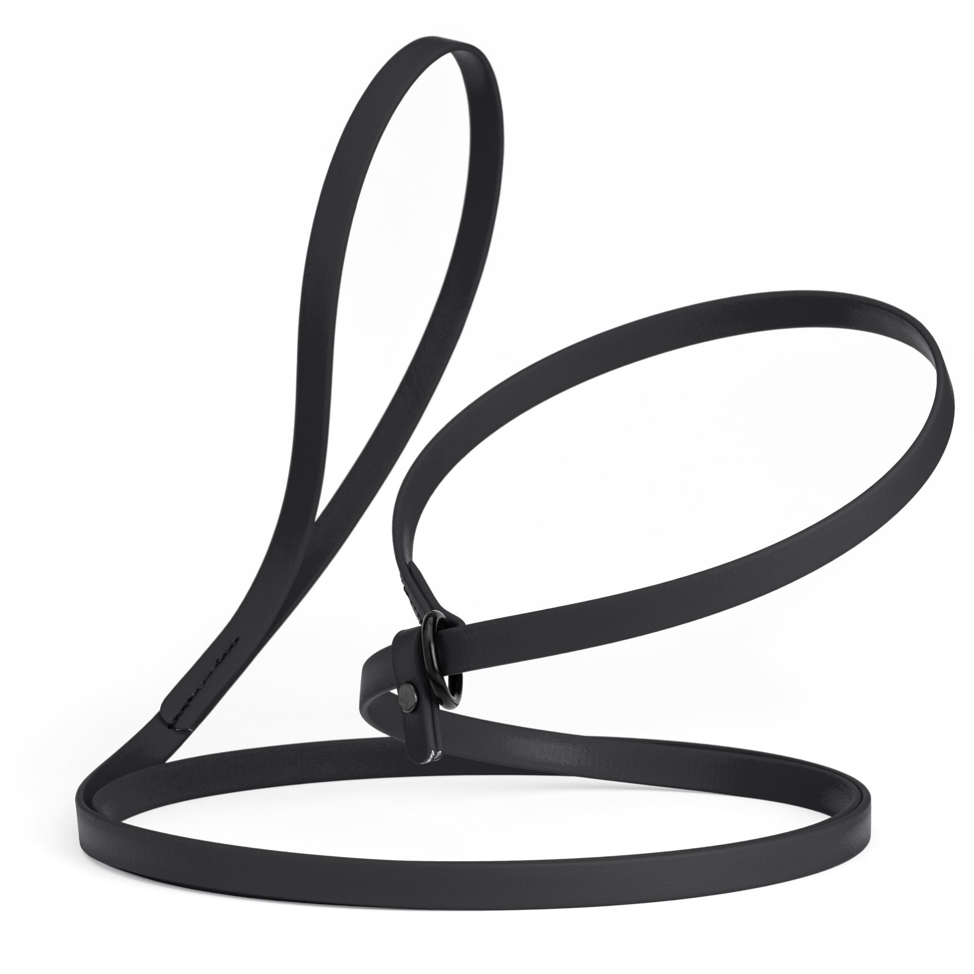 Biothane Slip Lead: 5ft, 7ft; 3/8", 5/8", 1/2" widths