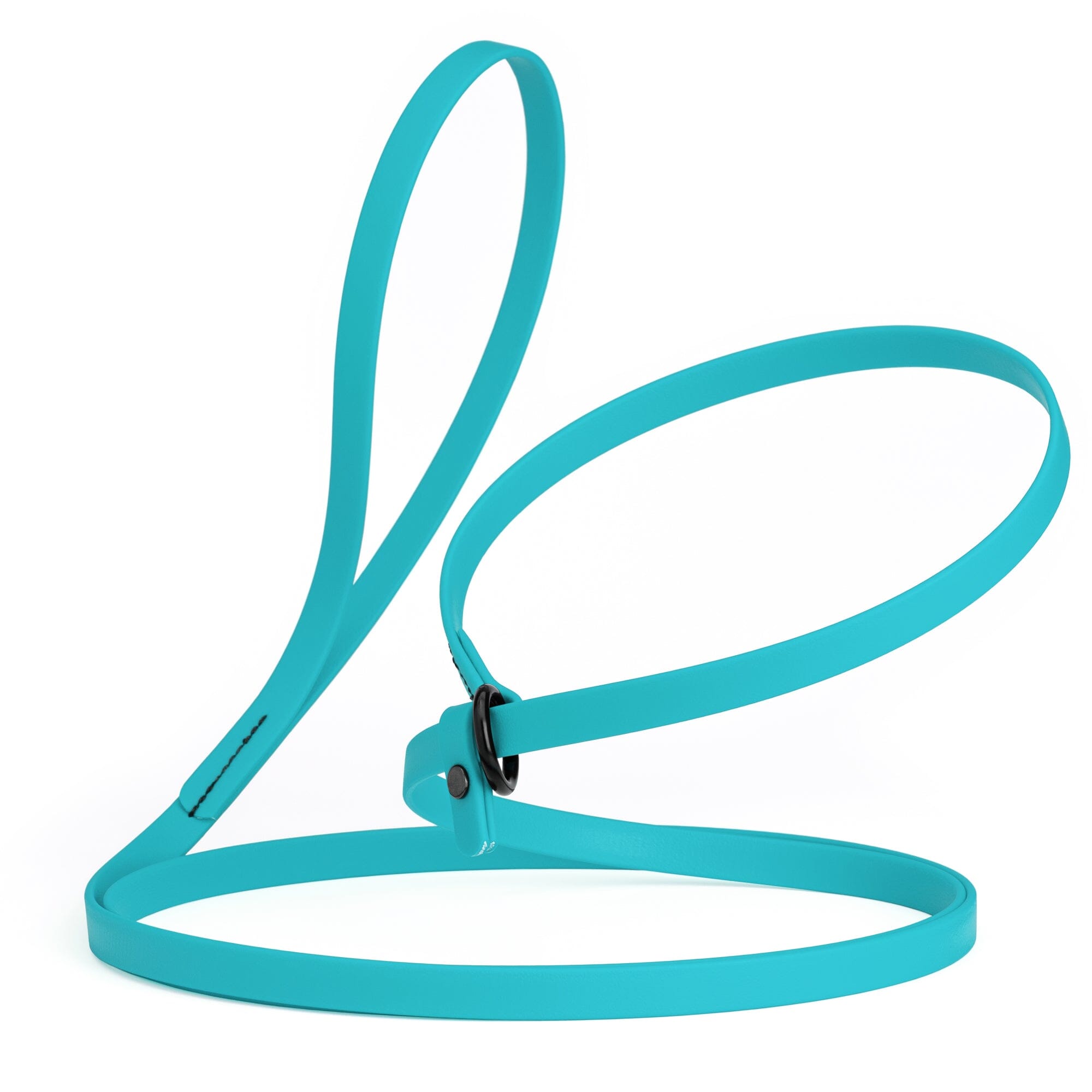 Biothane Slip Lead: 5ft, 7ft; 3/8", 5/8", 1/2" widths