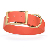 coral/terracotta/orange and gold biothane waterproof dog and cat collar with brass metal buckle hardware in size XXL that's 1.5 inches wide, 24-28" long and looks like vegan faux leather.