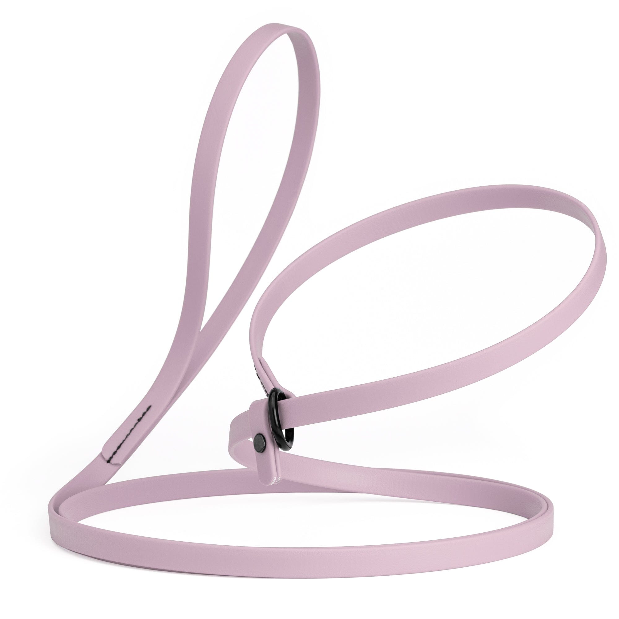 Biothane Slip Lead: 5ft, 7ft; 3/8", 5/8", 1/2" widths